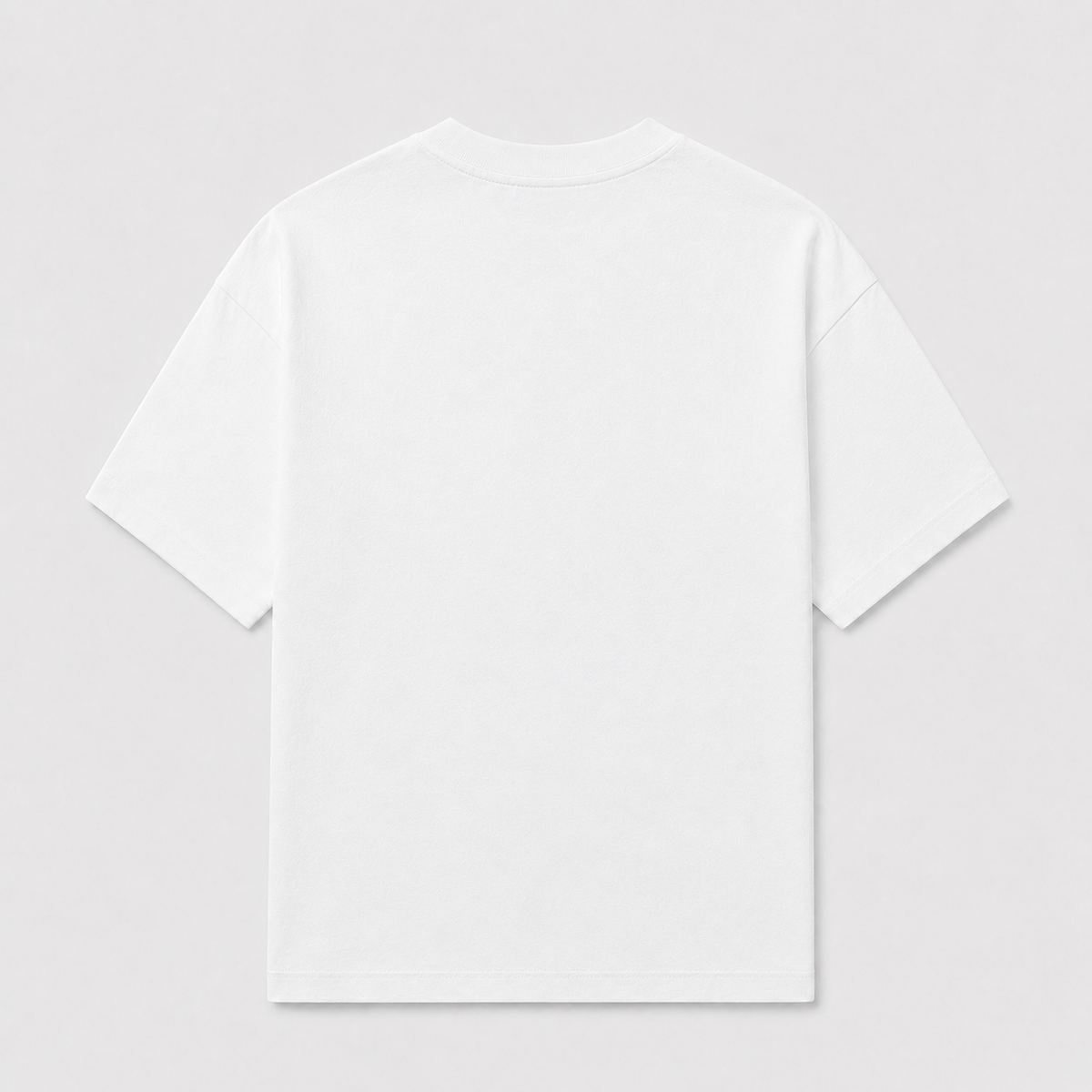 HG REGULAR T-SHIRT