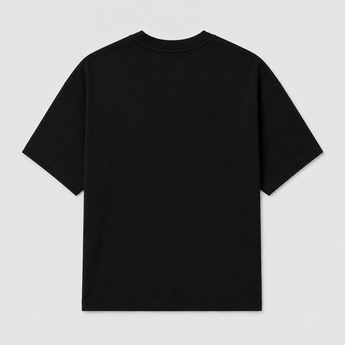 HG REGULAR T-SHIRT